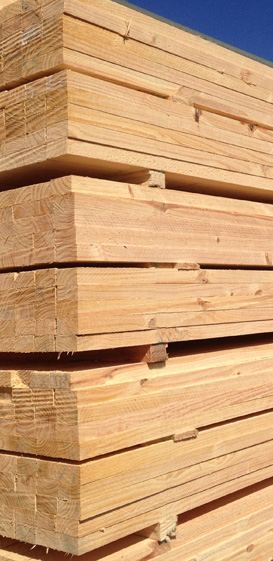 Sawn hoop pine timber